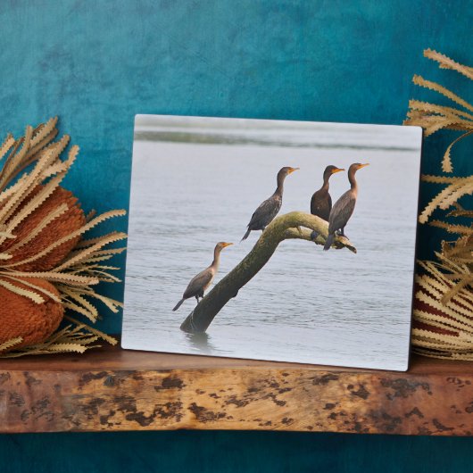 Cormorant Plaque Fotoplaat (Zijkant)