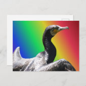 Cormorant Rainbow DIY Briefkaart (Voorkant / Achterkant)