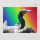 Cormorant Rainbow DIY Briefkaart (Voorkant)