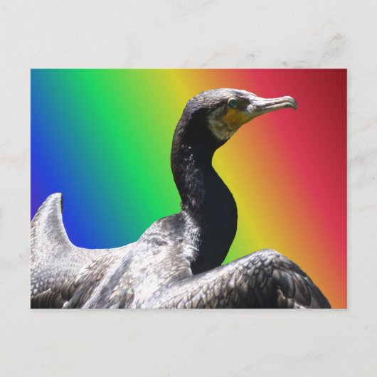 Cormorant Rainbow DIY Briefkaart (Voorkant)