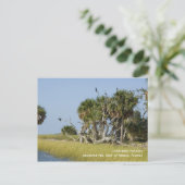 Cormorant Rookery Briefkaart (Staand voorkant)