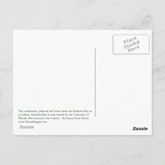 Cormorant Rookery Briefkaart (Achterkant)