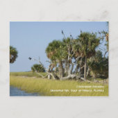 Cormorant Rookery Briefkaart (Voorkant)