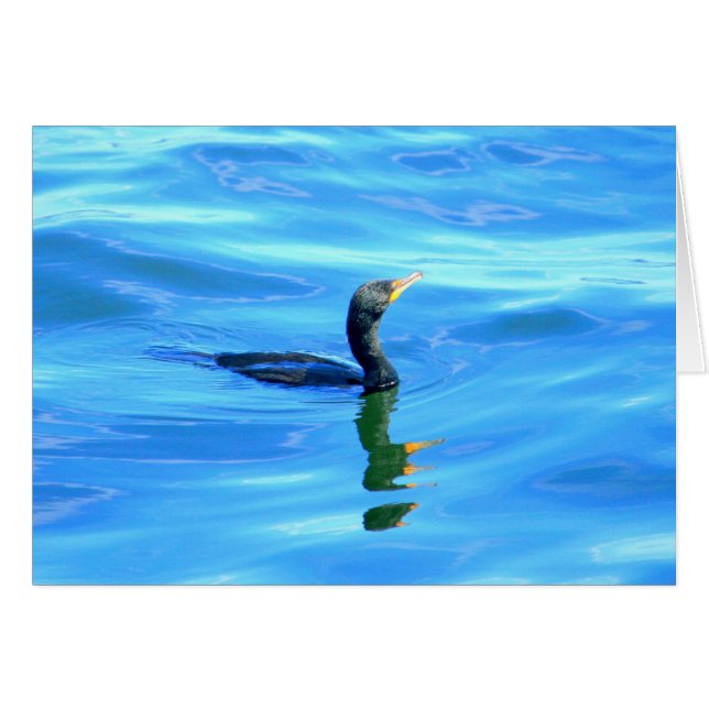 Cormorant swimming (Voorkant Horizontaal)