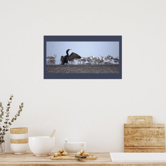 Cormorant with Seagulls Poster (Keuken)