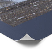 Cormorant with Seagulls Poster (Hoek)