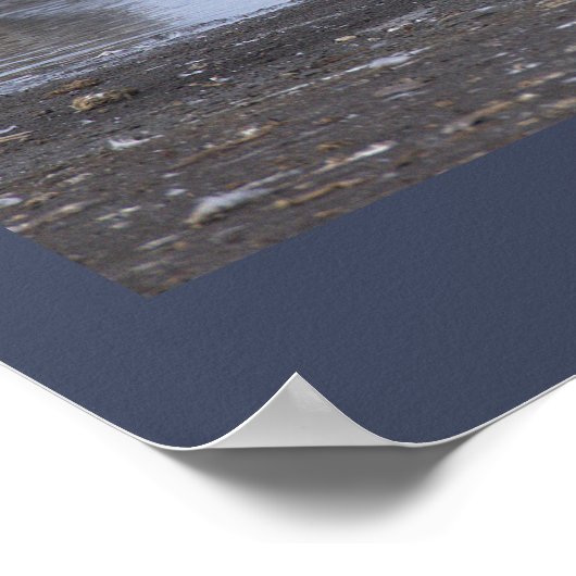 Cormorant with Seagulls Poster (Hoek)