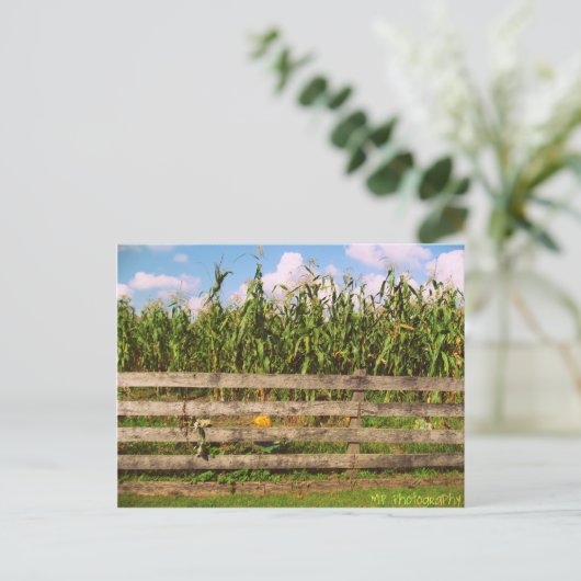 Corn Briefkaart (Staand voorkant)