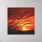 Corn Canvas Afdruk (Voorkant)