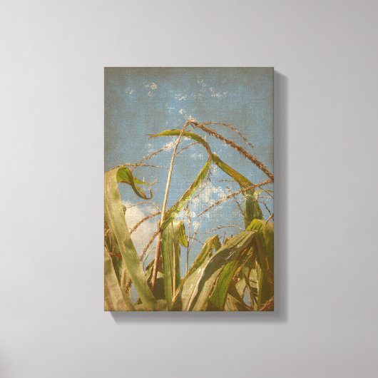 Corn Canvas Afdruk (Voorkant)