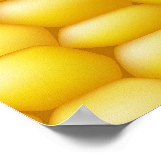 Corn Cob Achtergrond Poster (Hoek)