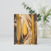 Corn Cobb op Stalk Briefkaart (Staand voorkant)