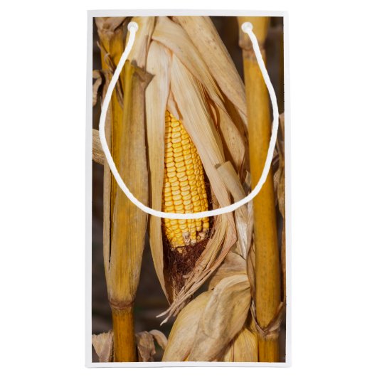 Corn Cobb op Stalk Klein Cadeauzakje (Achterkant)