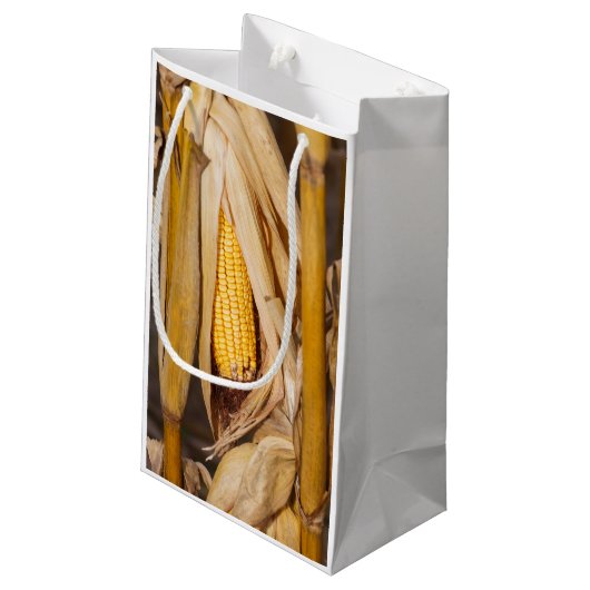 Corn Cobb op Stalk Klein Cadeauzakje (Achterkant Gekanteld)