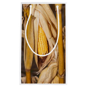 Corn Cobb op Stalk Klein Cadeauzakje
