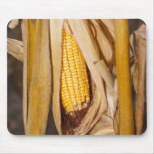 Corn Cobb op Stalk Muismat (Voorkant)