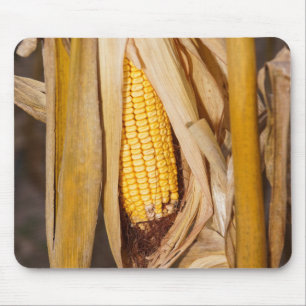 Corn Cobb op Stalk Muismat