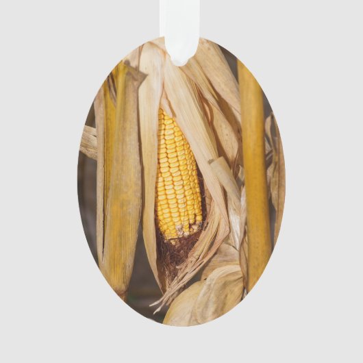 Corn Cobb op Stalk Ornament (voorkant)