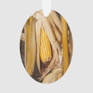 Corn Cobb op Stalk Ornament
