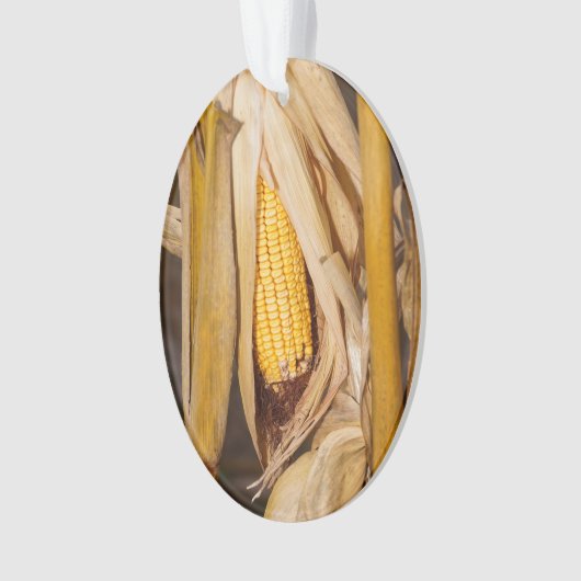 Corn Cobb op Stalk Ornament (voorkant)
