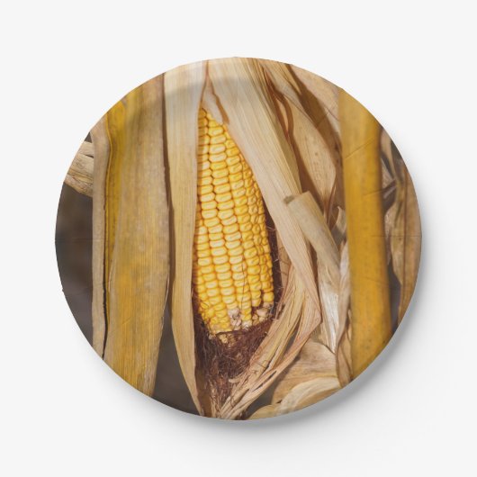 Corn Cobb op Stalk Papieren Bordje (Voorkant)