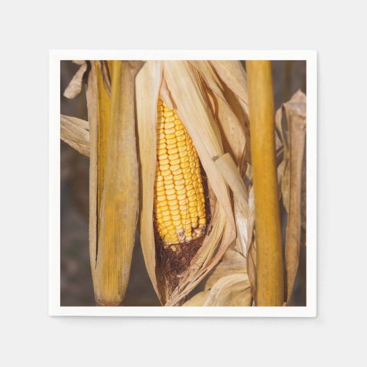 Corn Cobb op Stalk Servet (Voorkant)