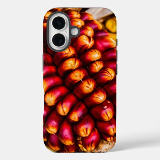 Corn cobs Case-Mate iPhone case (Achterkant)