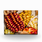 Corn cobs fotoblokken (Voorkant)