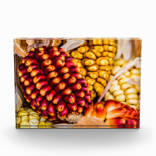 Corn cobs fotoblokken (Voorkant)