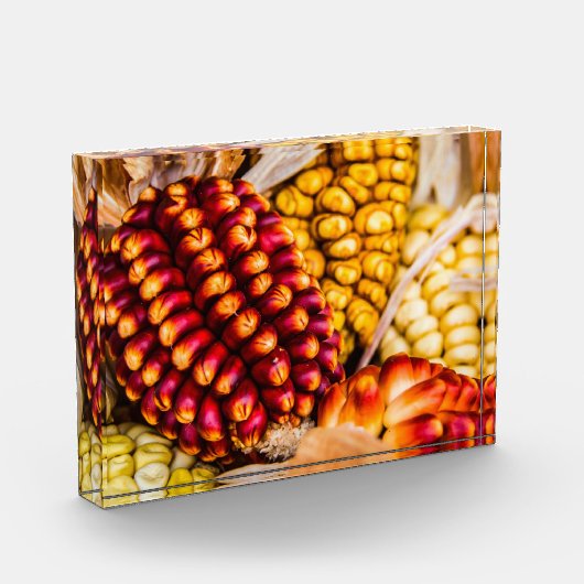 Corn cobs fotoblokken (Links)