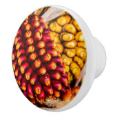 Corn cobs keramische knop (Rechts)