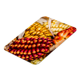 Corn cobs magneet