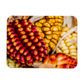 Corn cobs magneet (Horizontaal)