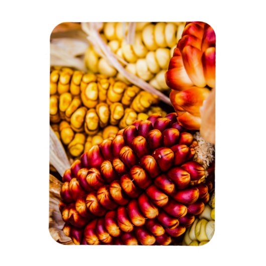 Corn cobs magneet (Verticaal)