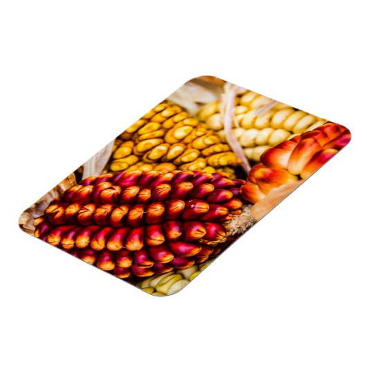 Corn cobs magneet (Linkerzijde)