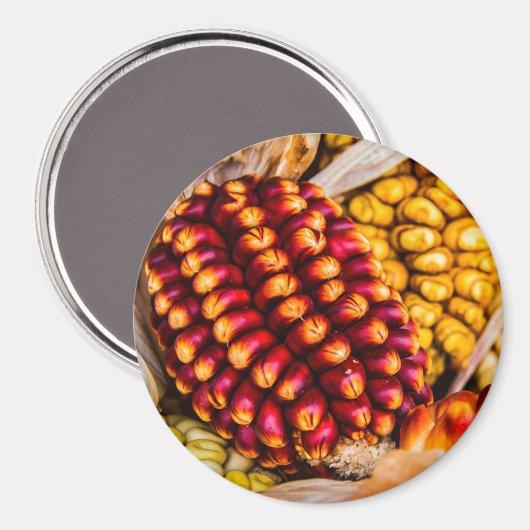 Corn cobs magneet (Voorkant / Achterkant)