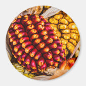 Corn cobs magneet (Voorkant)