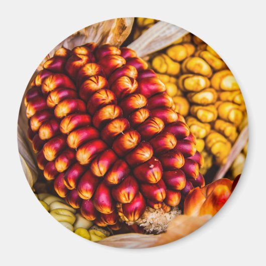 Corn cobs magneet (Voorkant)