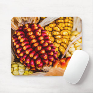 Corn cobs muismat