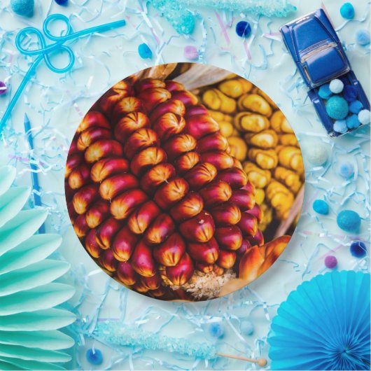 Corn cobs papieren bordje (Feest)