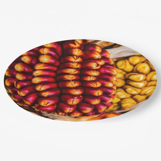 Corn cobs papieren bordje (Gekanteld)