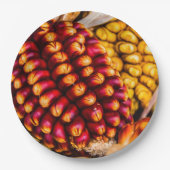 Corn cobs papieren bordje (Voorkant)