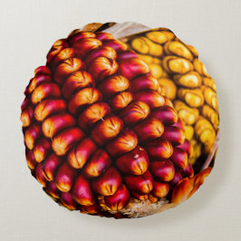 Corn cobs rond kussen