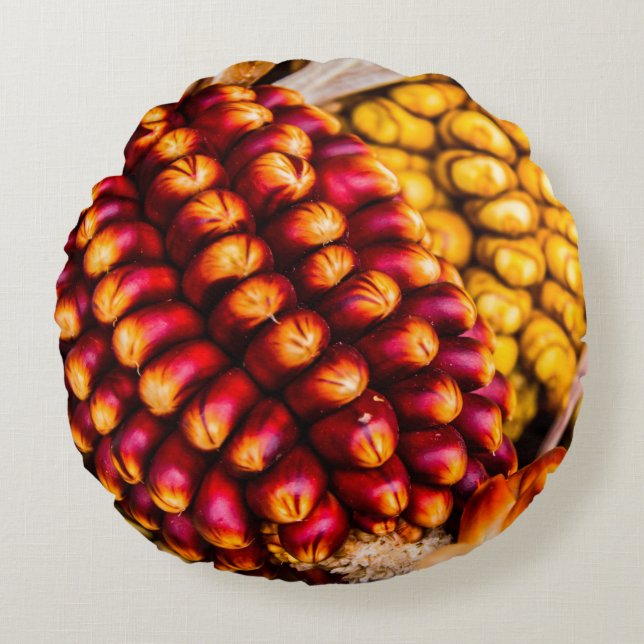 Corn cobs rond kussen (Voorkant)