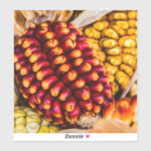 Corn cobs sticker (Vel)