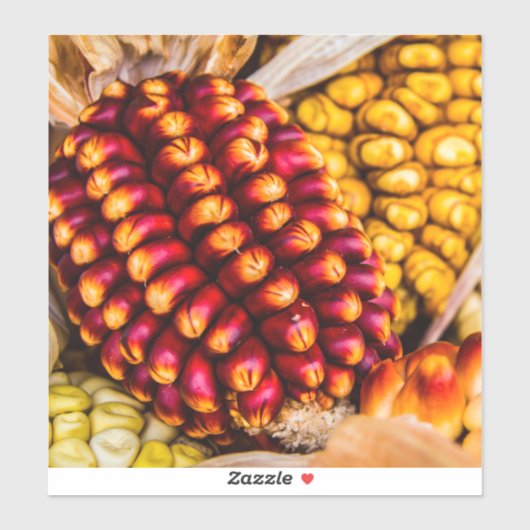 Corn cobs sticker (Vel)