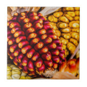 Corn cobs tegeltje (Voorkant)