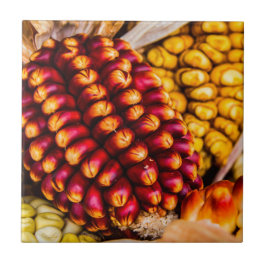 Corn cobs tegeltje