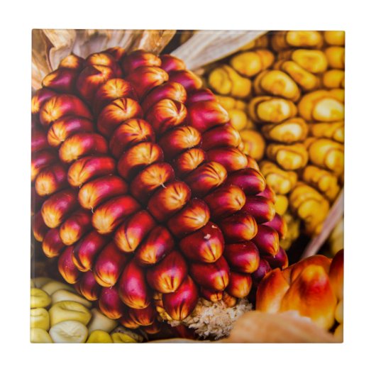 Corn cobs tegeltje (Voorkant)