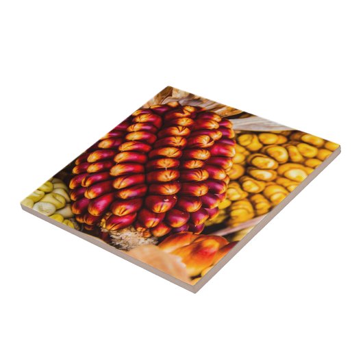 Corn cobs tegeltje (Zijkant)